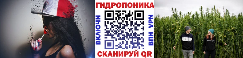 Конопля конопля Куса